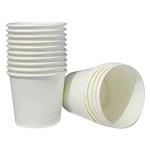 Paper Disposable Cup
